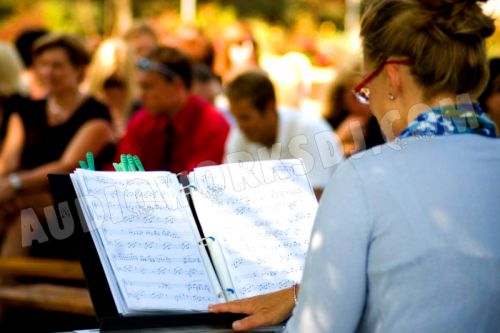 photo-wedding-ceremony-sound-1.jpg